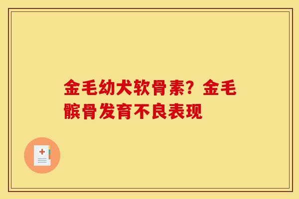 金毛幼犬软骨素？金毛髌骨发育不良表现