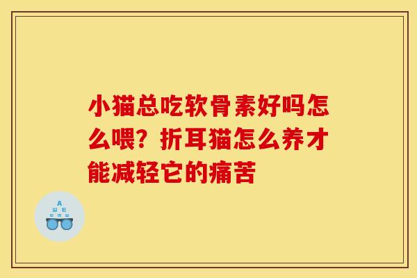 小猫总吃软骨素好吗怎么喂？折耳猫怎么养才能减轻它的痛苦