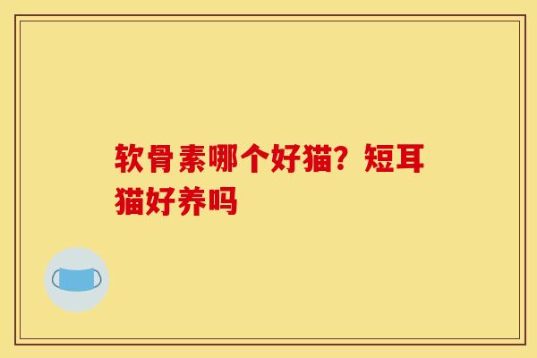 软骨素哪个好猫？短耳猫好养吗