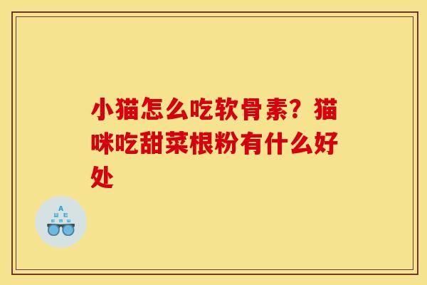 小猫怎么吃软骨素？猫咪吃甜菜根粉有什么好处