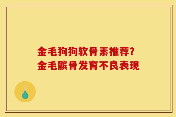 金毛狗狗软骨素推荐？金毛髌骨发育不良表现