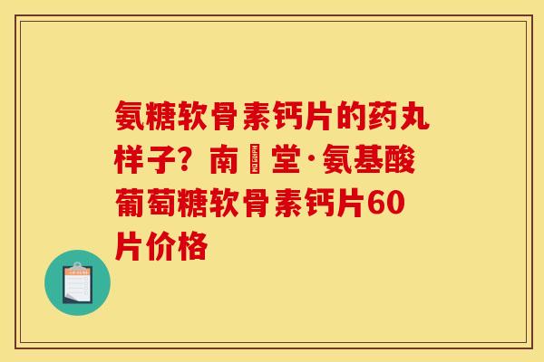 氨糖软骨素钙片的药丸样子？南雲堂·氨基酸葡萄糖软骨素钙片60片价格