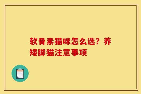 软骨素猫咪怎么选？养矮脚猫注意事项