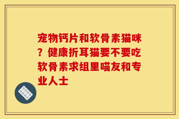 宠物钙片和软骨素猫咪？健康折耳猫要不要吃软骨素求组里喵友和专业人士