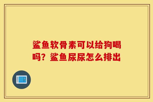 鲨鱼软骨素可以给狗喝吗？鲨鱼尿尿怎么排出