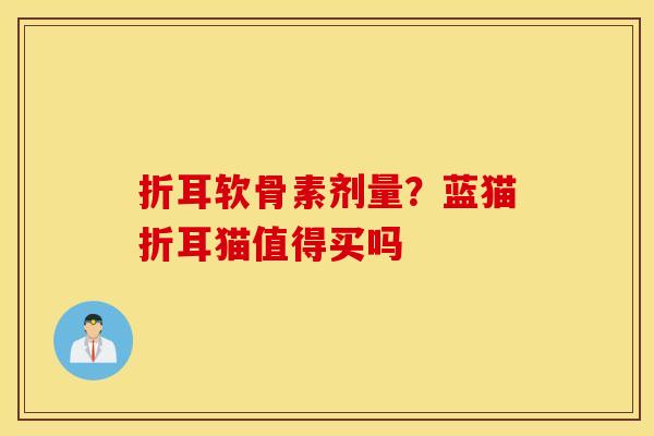 折耳软骨素剂量？蓝猫折耳猫值得买吗