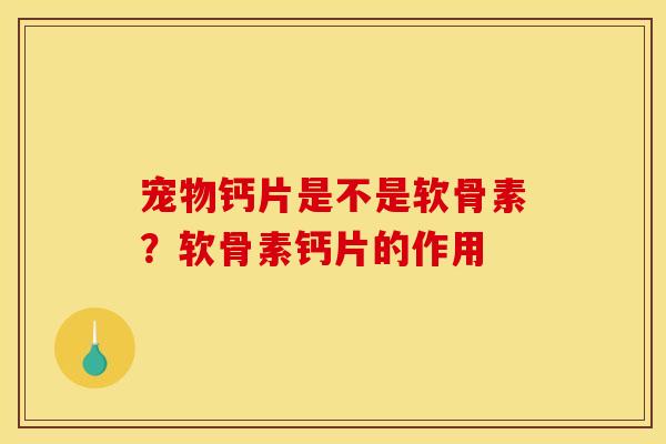 宠物钙片是不是软骨素?软骨素钙片的作用 宠物钙片是不是软骨素?软骨素钙片的作用