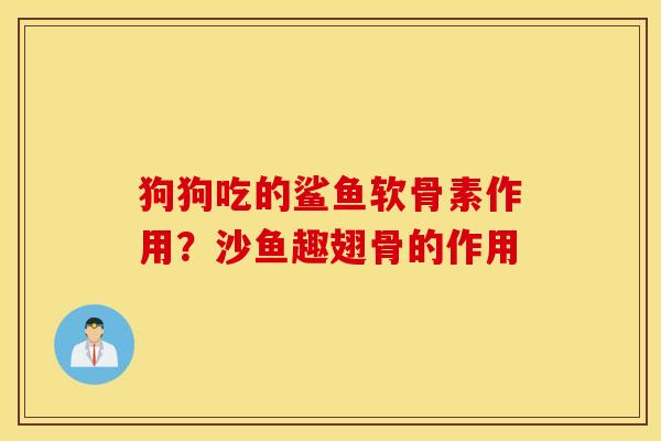 狗狗吃的鲨鱼软骨素作用？沙鱼趣翅骨的作用