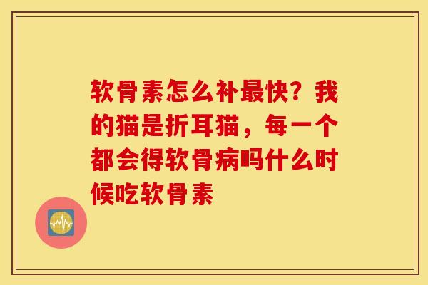 软骨素怎么补最快？我的猫是折耳猫，每一个都会得软骨病吗什么时候吃软骨素