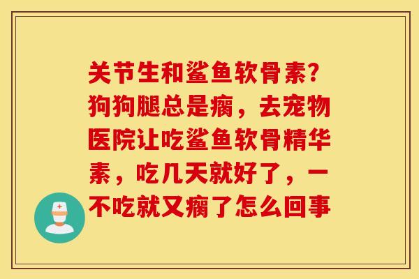 关节生和鲨鱼软骨素？狗狗腿总是瘸，去宠物医院让吃鲨鱼软骨精华素，吃几天就好了，一不吃就又瘸了怎么回事