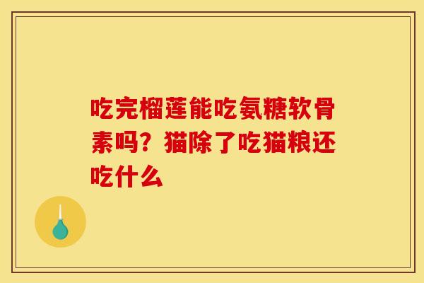 吃完榴莲能吃氨糖软骨素吗？猫除了吃猫粮还吃什么