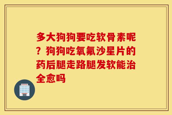 多大狗狗要吃软骨素呢？狗狗吃氧氟沙星片的药后腿走路腿发软能治全愈吗