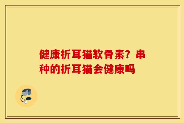 健康折耳猫软骨素？串种的折耳猫会健康吗
