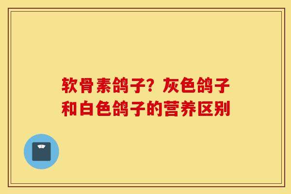 软骨素鸽子？灰色鸽子和白色鸽子的营养区别