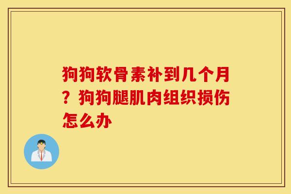 狗狗软骨素补到几个月？狗狗腿肌肉组织损伤怎么办
