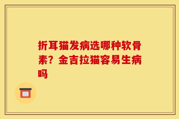 折耳猫发病选哪种软骨素？金吉拉猫容易生病吗