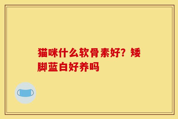 猫咪什么软骨素好？矮脚蓝白好养吗