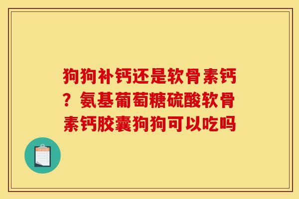 狗狗补钙还是软骨素钙？氨基葡萄糖硫酸软骨素钙胶囊狗狗可以吃吗
