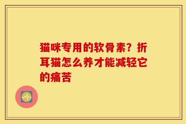 猫咪专用的软骨素？折耳猫怎么养才能减轻它的痛苦