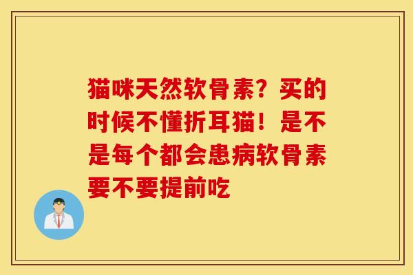 猫咪天然软骨素？买的时候不懂折耳猫！是不是每个都会患病软骨素要不要提前吃