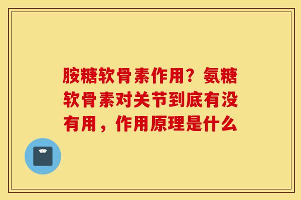 胺糖软骨素作用？氨糖软骨素对关节到底有没有用，作用原理是什么