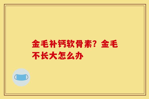 金毛补钙软骨素？金毛不长大怎么办