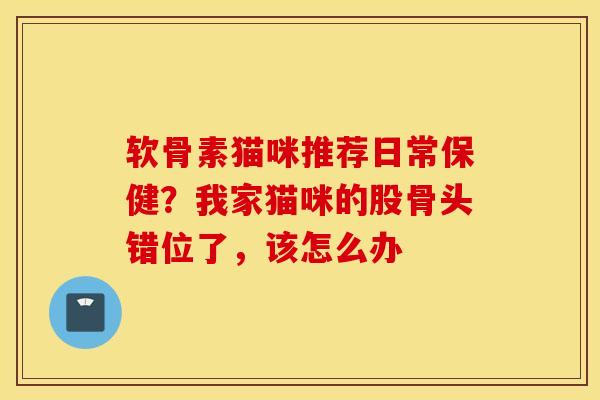 软骨素猫咪推荐日常保健？我家猫咪的股骨头错位了，该怎么办