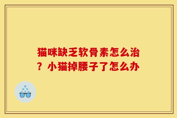 猫咪缺乏软骨素怎么治？小猫掉腰子了怎么办