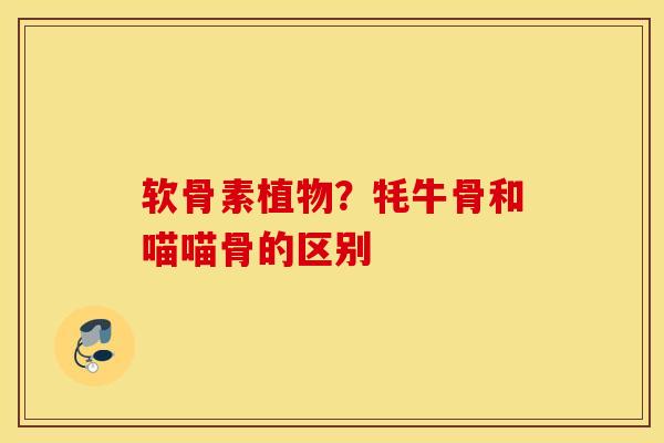 软骨素植物？牦牛骨和喵喵骨的区别