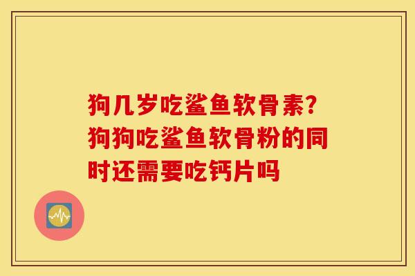 狗几岁吃鲨鱼软骨素？狗狗吃鲨鱼软骨粉的同时还需要吃钙片吗