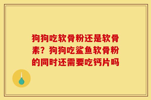 狗狗吃软骨粉还是软骨素？狗狗吃鲨鱼软骨粉的同时还需要吃钙片吗
