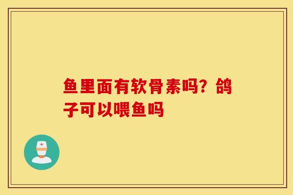 鱼里面有软骨素吗？鸽子可以喂鱼吗