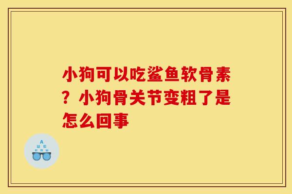 小狗可以吃鲨鱼软骨素？小狗骨关节变粗了是怎么回事