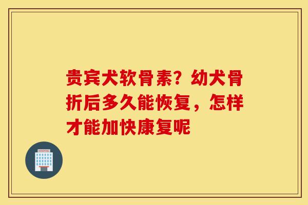 贵宾犬软骨素？幼犬骨折后多久能恢复，怎样才能加快康复呢