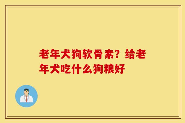 老年犬狗软骨素？给老年犬吃什么狗粮好