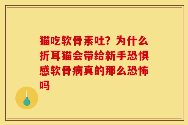 猫吃软骨素吐?为什么折耳猫会带给新手恐惧感软骨病真的那么恐怖吗 猫吃软骨素吐?为什么折耳猫会带给新手恐惧感软骨病真的那么恐怖吗