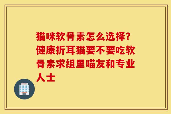 猫咪软骨素怎么选择？健康折耳猫要不要吃软骨素求组里喵友和专业人士
