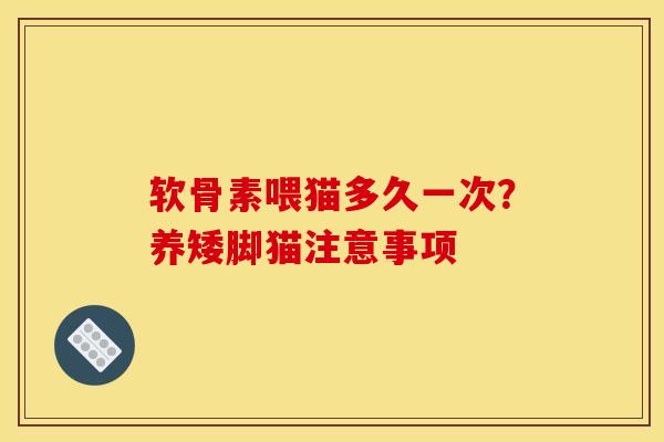 软骨素喂猫多久一次？养矮脚猫注意事项