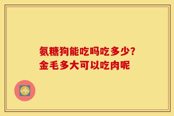 氨糖狗能吃吗吃多少？金毛多大可以吃肉呢