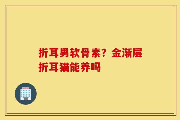 折耳男软骨素?金渐层折耳猫能养吗 折耳男软骨素?金渐层折耳猫能养吗