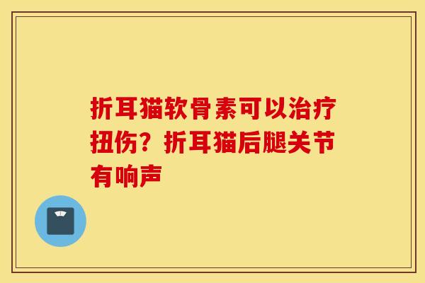 折耳猫软骨素可以治疗扭伤？折耳猫后腿关节有响声