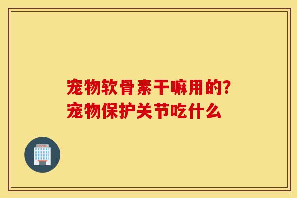 宠物软骨素干嘛用的？宠物保护关节吃什么