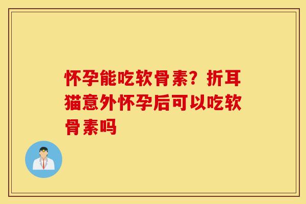 怀孕能吃软骨素?折耳猫意外怀孕后可以吃软骨素吗 怀孕能吃软骨素?折耳猫意外怀孕后可以吃软骨素吗