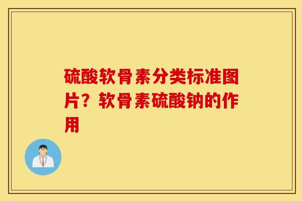 硫酸软骨素分类标准图片？软骨素硫酸钠的作用