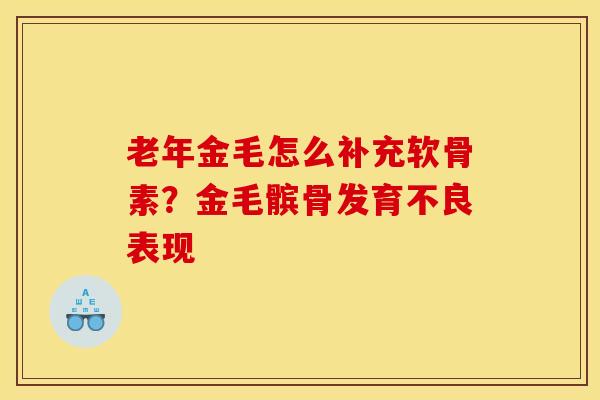老年金毛怎么补充软骨素？金毛髌骨发育不良表现