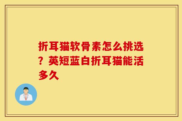 折耳猫软骨素怎么挑选？英短蓝白折耳猫能活多久