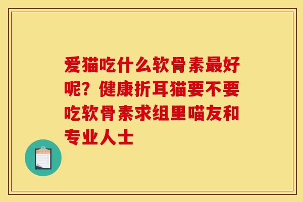 爱猫吃什么软骨素最好呢？健康折耳猫要不要吃软骨素求组里喵友和专业人士
