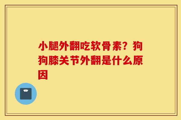 小腿外翻吃软骨素？狗狗膝关节外翻是什么原因