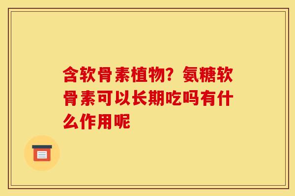 含软骨素植物？氨糖软骨素可以长期吃吗有什么作用呢