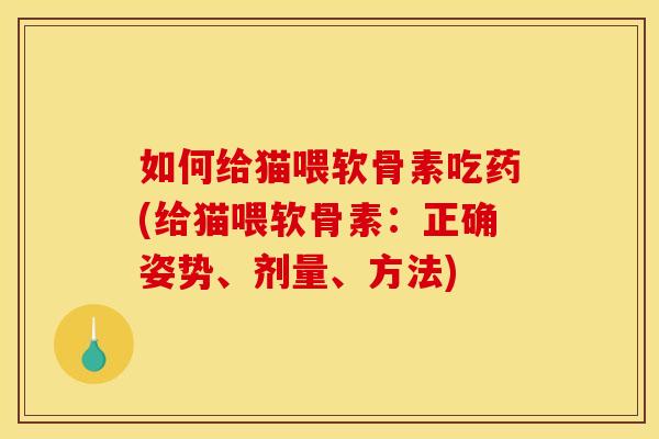 如何给猫喂软骨素吃药(给猫喂软骨素：正确姿势、剂量、方法)